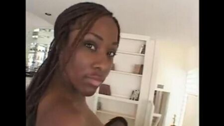 Ein Schwanz dringt in die Vagina einer schwarzen Frau ein