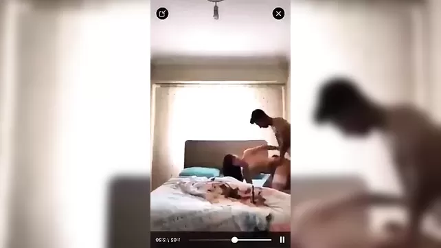 Mushuk jinsiy aloqasini bepul tomosha qiling