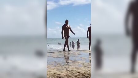 Ein riesiger Schwanz am Strand