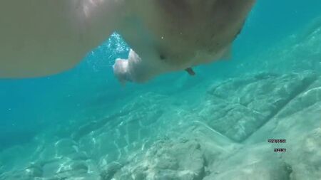 Nackt im Meer schwimmen. Sehr erotisch