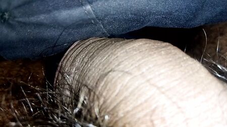 Schwarzer Schwanz. Indischer Schwanz in Unterwäsche. Der Penis wird größer