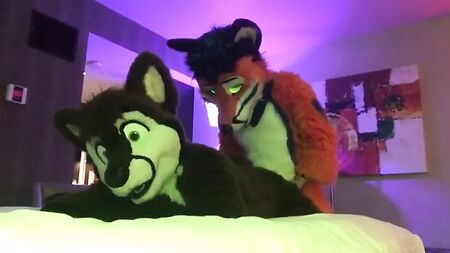 Zwei schwule Furries beim Sex 2