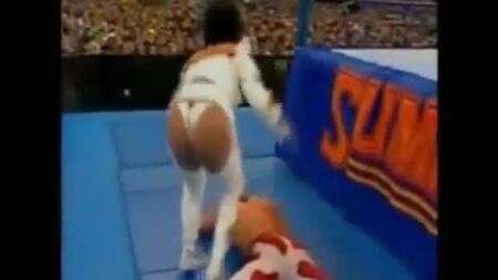 WWF-Sexbombe Sherry Martel