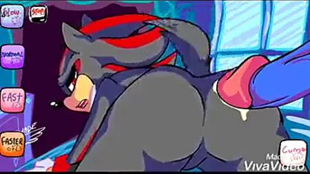 Sonic und Shadow – eine tolle Zeit