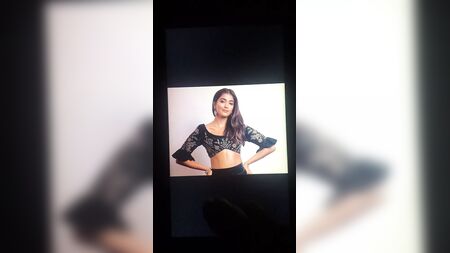 Pooja Hegde – Cum-Hommage – Lautes Stöhnen 01