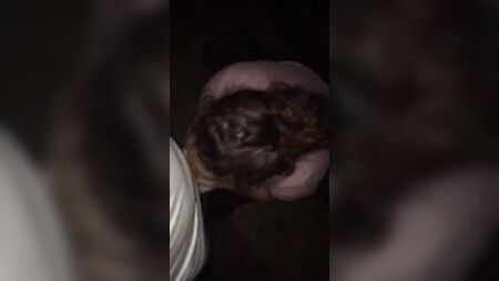 Dirtygirl614 lutscht einen Schwanz und lässt sich von einem Fremden ohne Kondom ficken