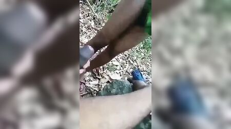 Tamilischer Schwulensex im Freien