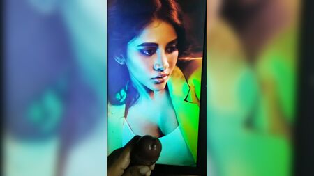 Nabha Natesh – Eine Hommage
