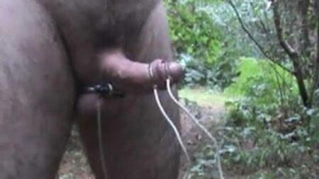 Saftiger, tropfender E-Stim im Wald