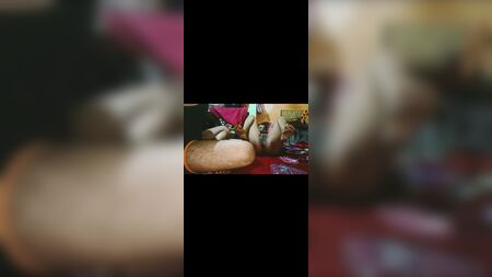 Die geile Desi-Schwägerin beim Ficken