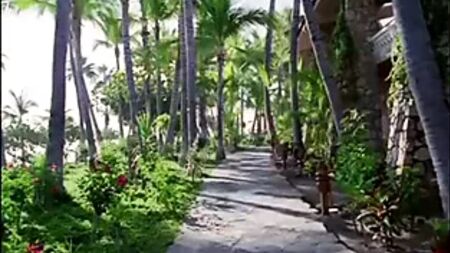 Hotel Erotica Cabo – Urinstinkt
