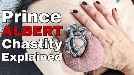 Erklärung zum permanenten Keuschheitskäfig – Stahlvorrichtung – Prince-Albert-Piercing – Demo zum Abnehmen – Anlegen – Rigid – Femdom – FLR