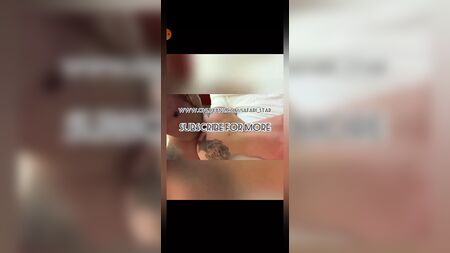 Ts Safari Star-Zusammenstellung