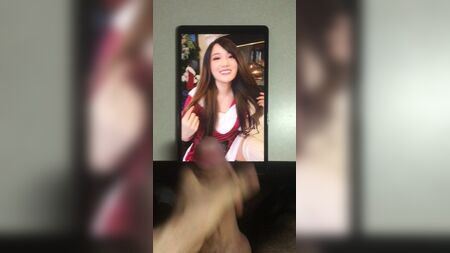 Plüschfiguren von Twitch-Streamern (AngelsKimi) – Cum Tribute