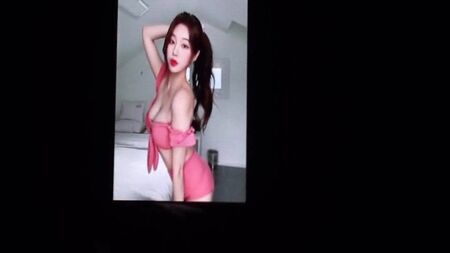 IG-Streamer HanKyung – Hommage 1