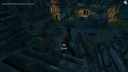 Skyrim-Mod für sinnlosen Sex