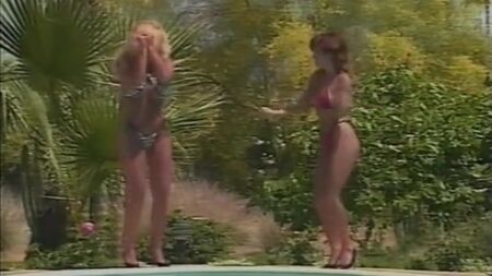 „Wild Bikinis“ (unvollständig) – 1980er Jahre