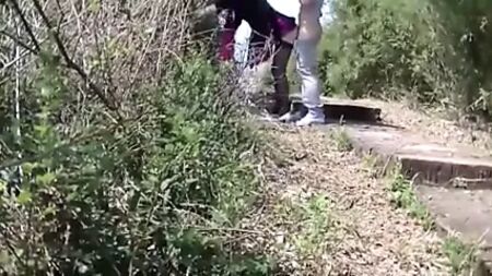 jp-video 462