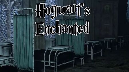 Harry Potter – 3D-Spiel-Porno