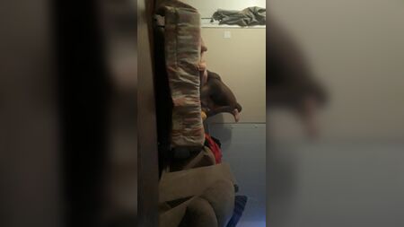 Der Tyrann im Schlafzimmer