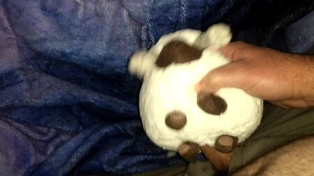 Sex mit dem Pokemon-Wooloo-Plüschtier