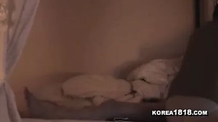 HEISSE KOREANISCHE Ex-Freundin – Rachepornos