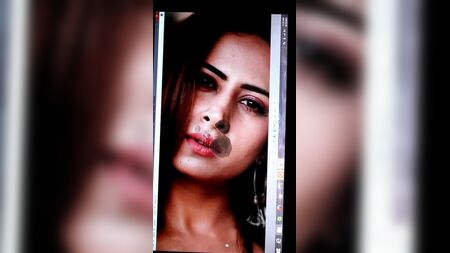 Sargun Mehta – Wie ein Tribut