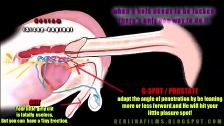 Wie man zum analen Orgasmus kommt! Ein Muss [Sissy, Shemale, Falle, Orgasmus, Sperma, Sex, Schlampe]