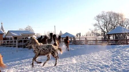 Russischer Winter. Avanpost