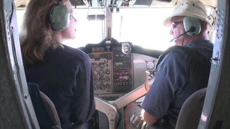 Sex mit einer Stewardess