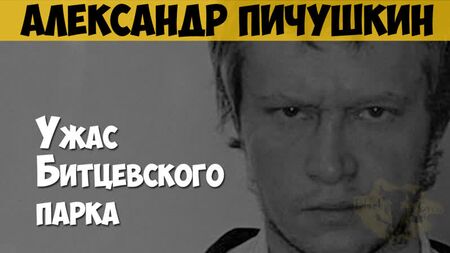 Alexander Pichushkin. Serienmörder, Psychopath. Der Schrecken des Bitzewer Parks