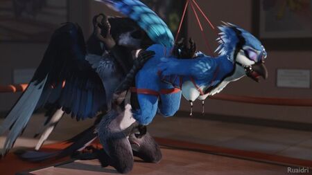 3D-Yiff von ruaidri – Furry-Porno, Sex, E621, weibliche Vogel-Bondage, BDSM