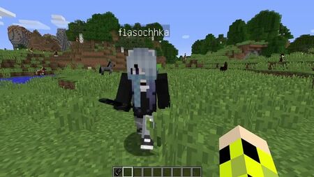 [Naisik Bro] WENN DU DEN VERFLUCHTEN SCHÜCHTERNEN TYPEN IN DER NÄHE DEINES HAUSES SIEHST, RENNE SOFORT ZU MINECRAFT! SCP 096 SHY GUY MINECRAFT