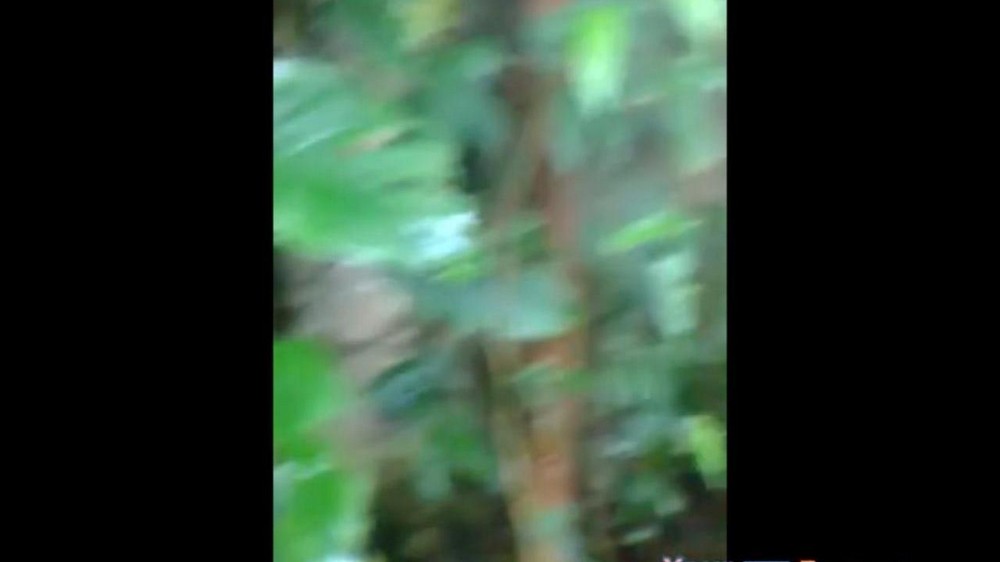 Dieser echte Inzest wird wirklich von der Familie selbst erschossen