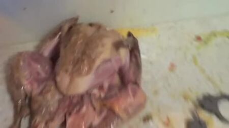 [HowToBasic] So füllt man einen Truthahn