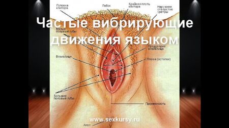 Wie man Cunnilingus richtig macht, Orgasmus, Analsex und Masturbation