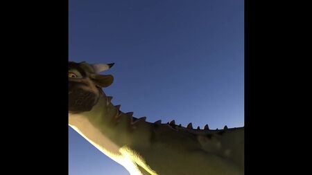 Dragon – POV-Rundgang