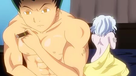 Hunter x Hunter (ab 18)