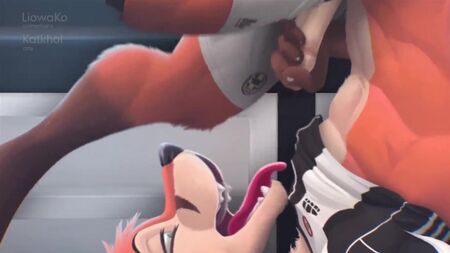 Furry-Fuchs, schwuler Yiff