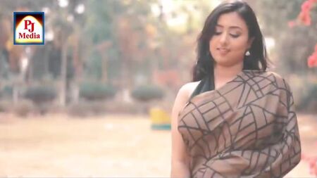 Saree Sundari NAARI – Saree mit Karomuster