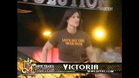 Viktoria gegen Mickie James gegen Maria gegen Torrie Wilson gegen Candice Michelle gegen Ashley Massaro