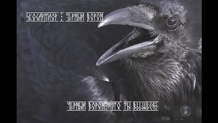 Skogarmaor – Black Raven (Lyric-Video)