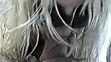 Das Sexvideo von Pam Anderson und Tommy Lee