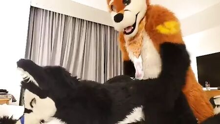 mit einem Freund Fursuit spielen