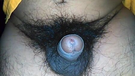 Kleiner, unbeschnittener, dunkler und sehr behaarter Penis